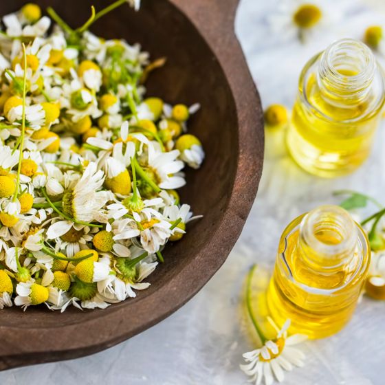 Roman Chamomile essential oil