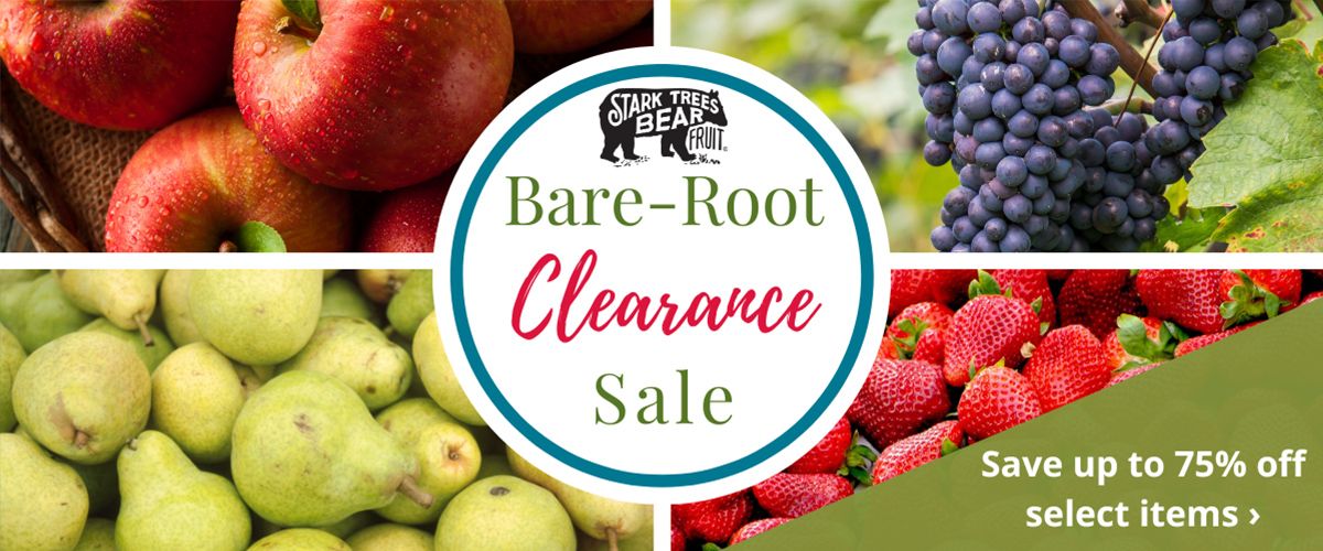 Bare-Root Clearance Sale SHOP NOW!