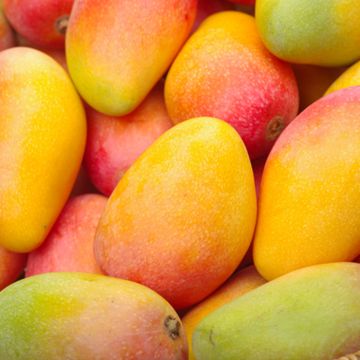 VALENCIA PRIDE mangos