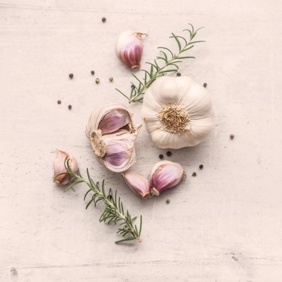 Garlic bulb open on counter with rosemary