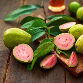 Guava fruit cut open