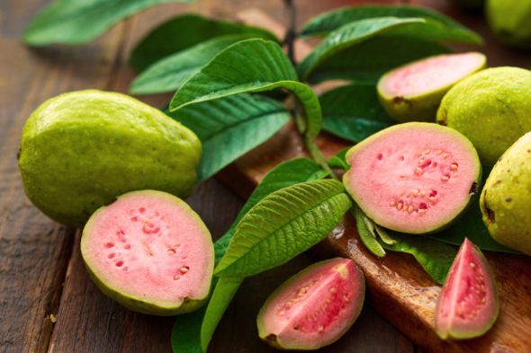 Guava fruit cut open