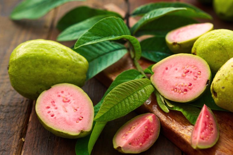 Guava fruit cut open