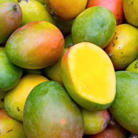 Greenish red mangoes, with one cut open on top