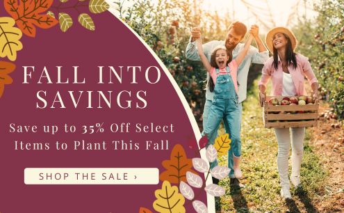 Fall into savings! Save up to 35% select items during our Fall Savings Event
