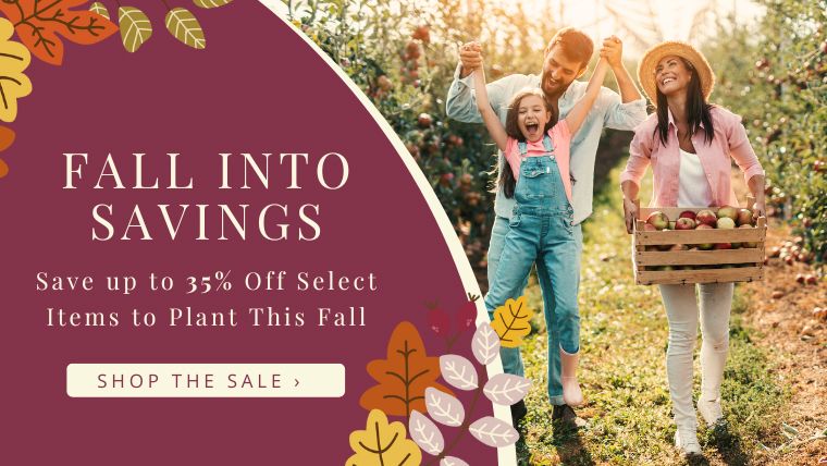 Fall into savings! Save up to 35% select items during our Fall Savings Event