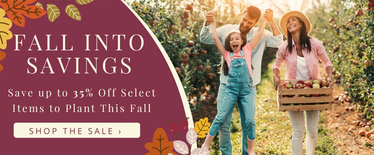 Fall into savings! Save up to 35% select items during our Fall Savings Event