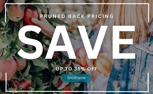 Save up to 35% off with our pruned back pricing!