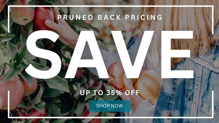 Save up to 35% off with our pruned back pricing!
