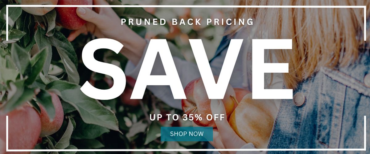 Save up to 35% off with our pruned back pricing!