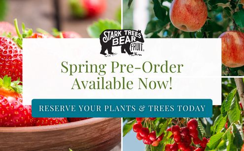 Spring Products Available for Pre-Order Now!
