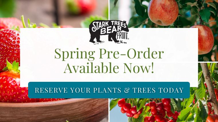 Spring Products Available for Pre-Order Now!