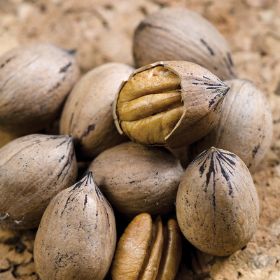 Pile of pecans, some cracked open