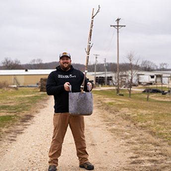 Photo of Stark employee holding fruit tree with roots in large growbag.