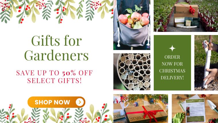 Save up to 50% off these great gifts for gardeners!