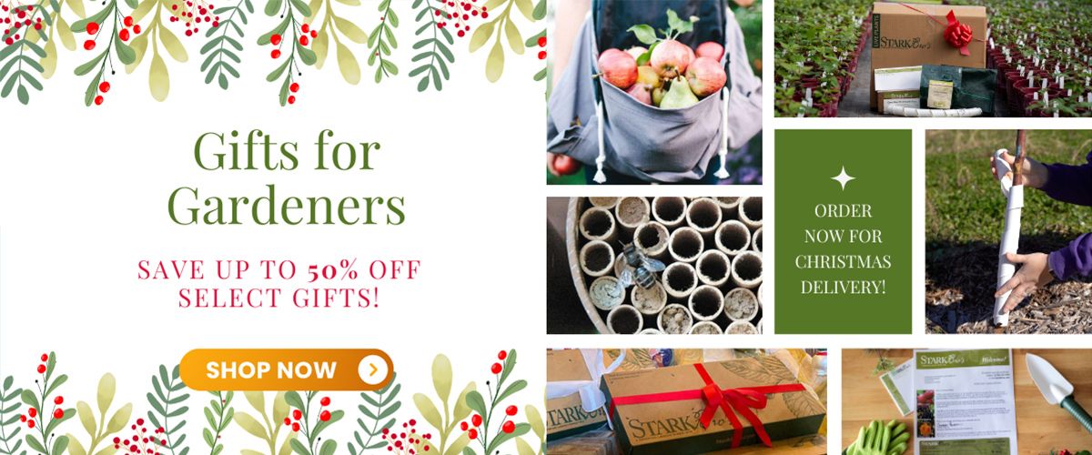 Save up to 50% off these great gifts for gardeners!