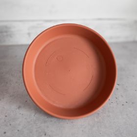 Brown saucer without pot.