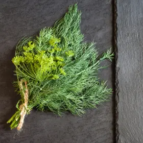 View details for this product Harvested dill on counter