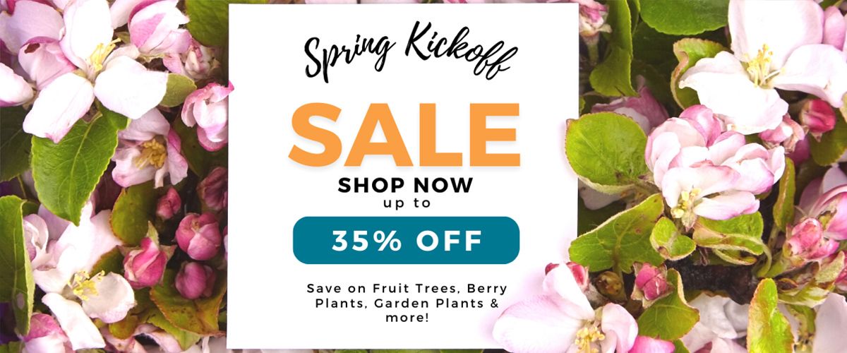 Let's celebrate Spring! Shop now and save up to 35% off these popular items.