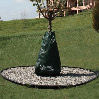 Drip irrigation bag placed next to young tree.