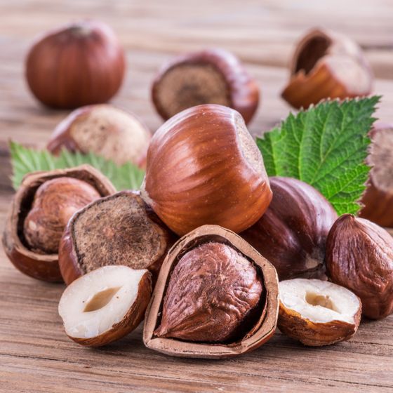 Large hazelnut on top of shells