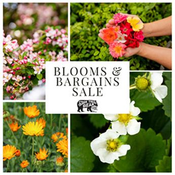 Blooms and Bargains