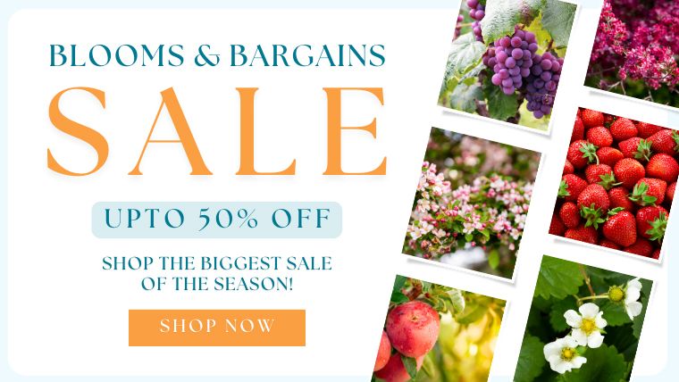 Shop the biggest sale of the season!