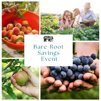 Bare-Root Savings Event
