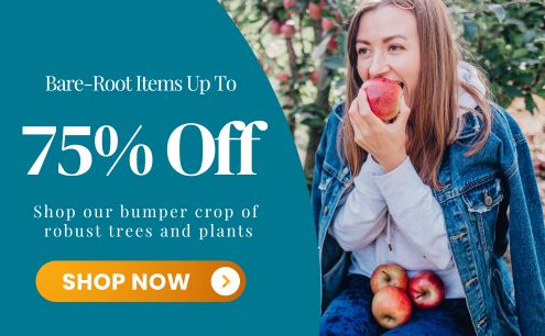 Shop the Bare-Root Savings Event and Save up to 75%
