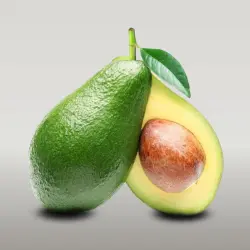 Photo of Holiday Avocado Tree