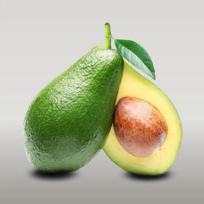 Photo of Holiday Avocado Tree