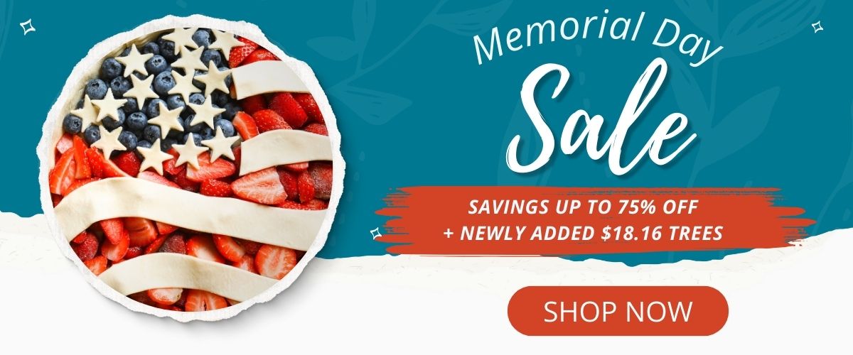 Shop Memorial Day Savings!