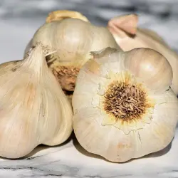 Photo of Romanian Red Certified Organic Garlic Bulbs