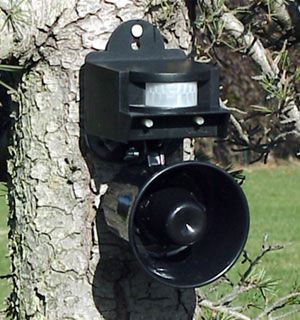 Photo of Pir Sonic Birdchaser™