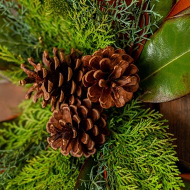 View full size image Photo of Stark Magnolia Woodland™ Swag