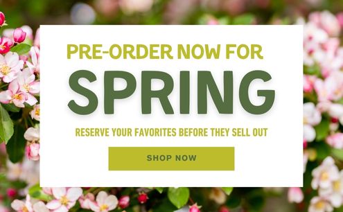 Pre-Order Now for Spring!