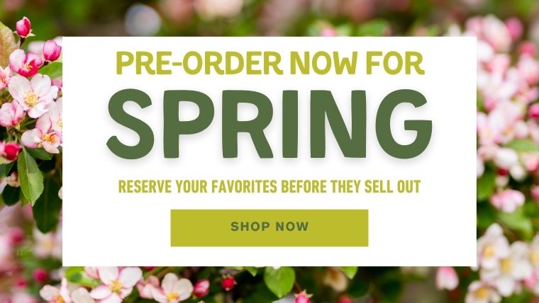 Pre-Order Now for Spring!