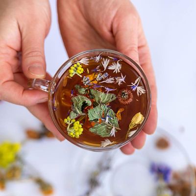 View full size image Photo of Herbal Tea Organic Plants Mega Pack