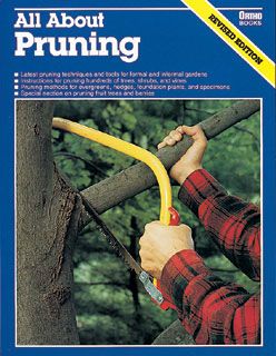 Photo of All About Pruning