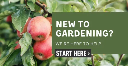 New to gardening? We're here to help.