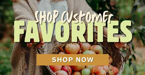 Shop customer favorites