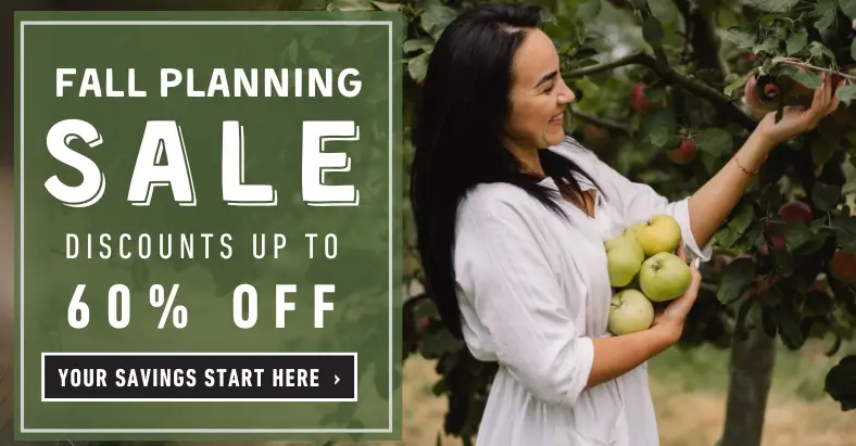 Shop the Fall Planning Sale