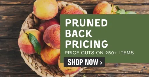 Shop pruned back pricing