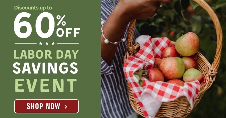 Labor Day Savings Event