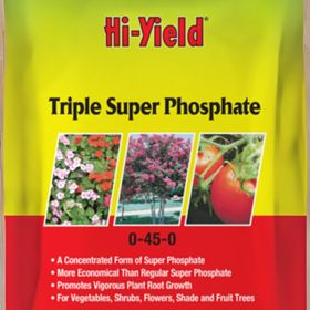 Photo of front of product bag