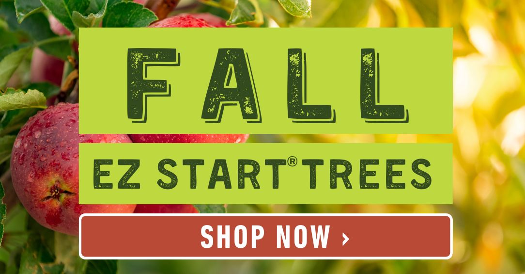 Shop EZ Start Trees