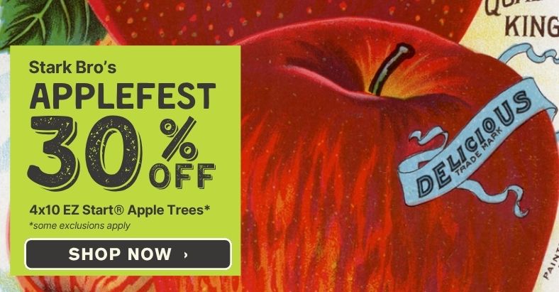 Shop our Applefest