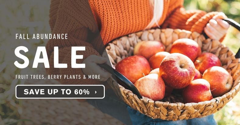 Shop & Save up to 60% Off