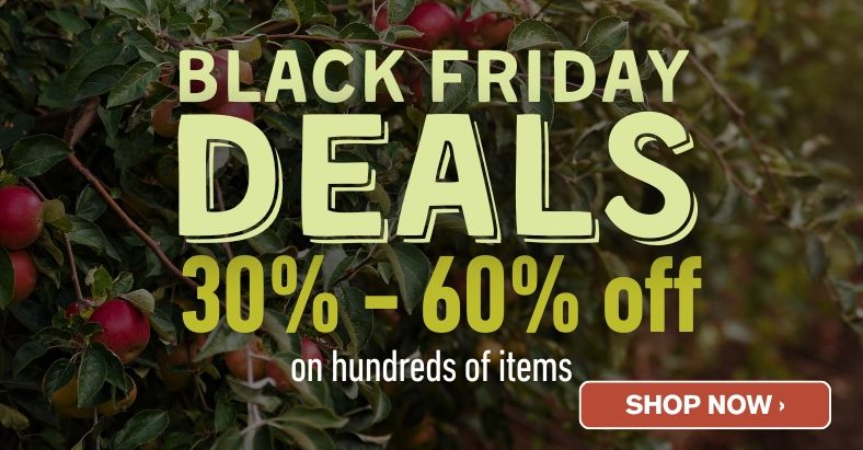 Shop Black Friday Savings