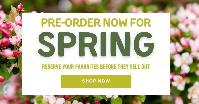 Pre-Order Now for Spring